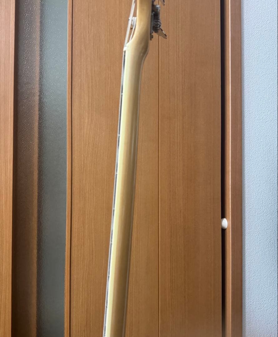 Sire Marcus Miller V7 【純正ケース付き】