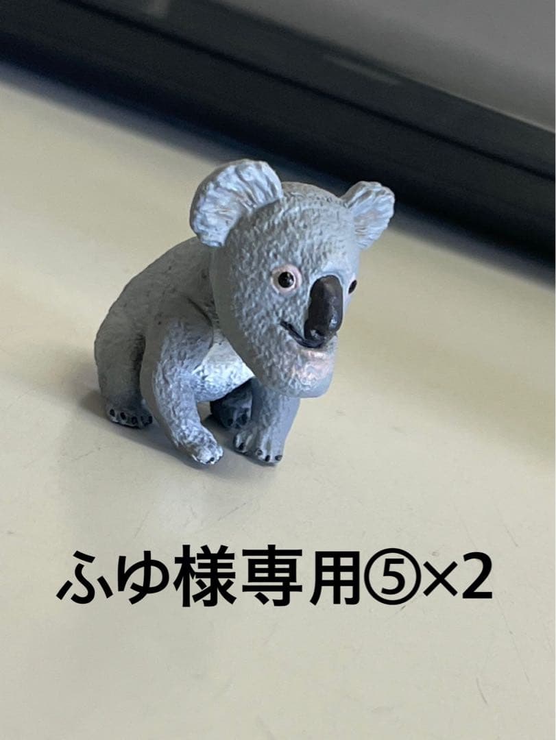 しゃくれるコアラ　⑤×2