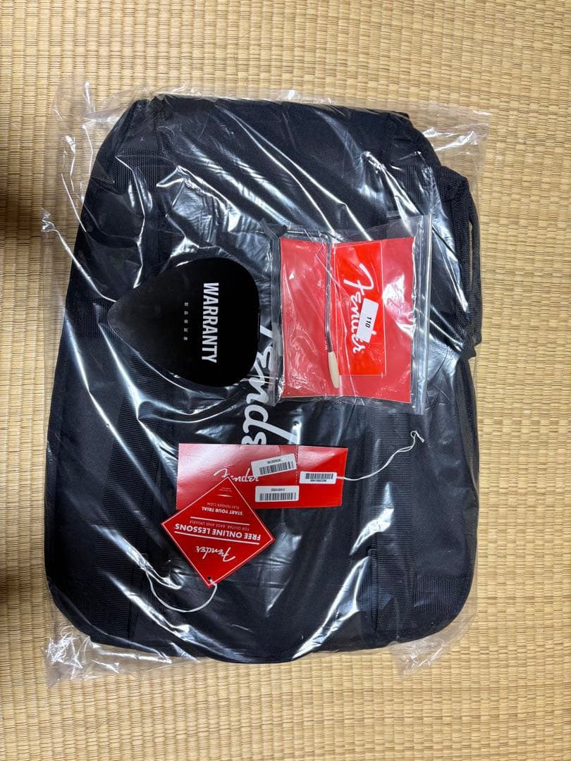 Fender Player Ⅱ Stratocaster