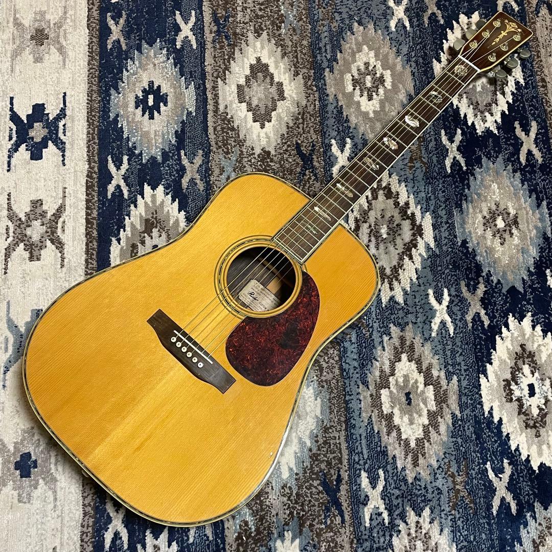 Rider R-500D Martin D-45風 Headway Momose