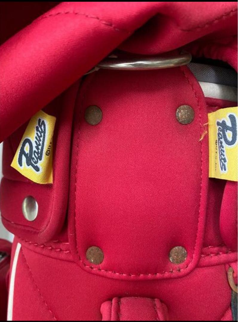 【美品】スヌーピー ゴルフバッグ SNOOPY MIZUNO