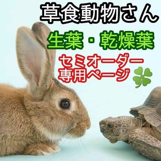 生葉/乾燥葉 ★セミオーダーページ★ ウサギ ハムスター リクガメ さん他
