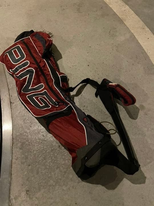 絶版 ピン　ワンショルダー　セルフバック