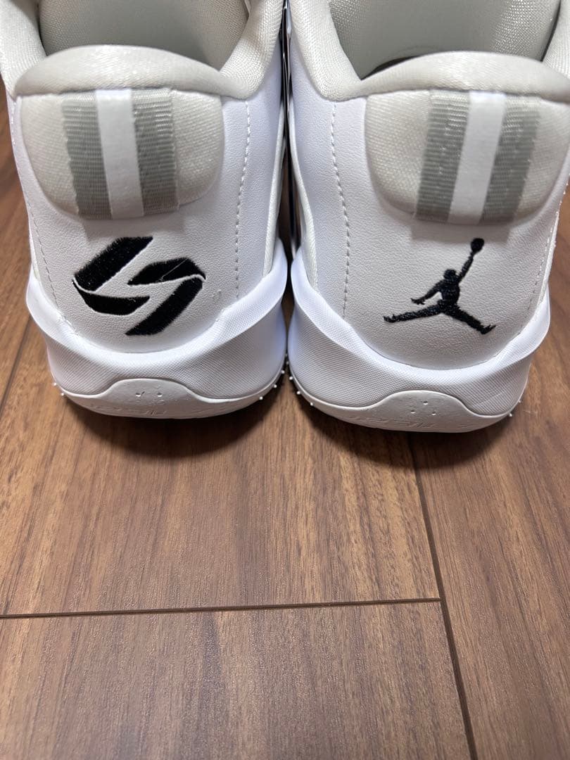 ナイキ　ジョーダン　ルカ3 PF チーム バンク28cm バスケシューズ