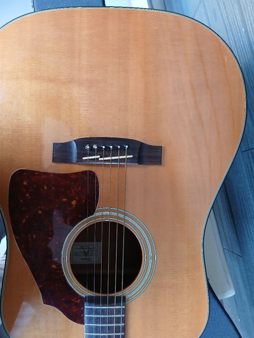 Takamine アコースティックギター(HC/ PU付)