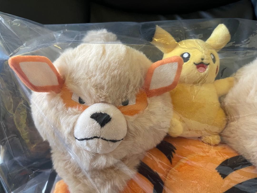 ポケモン　マスキングテープ　メタモンセット