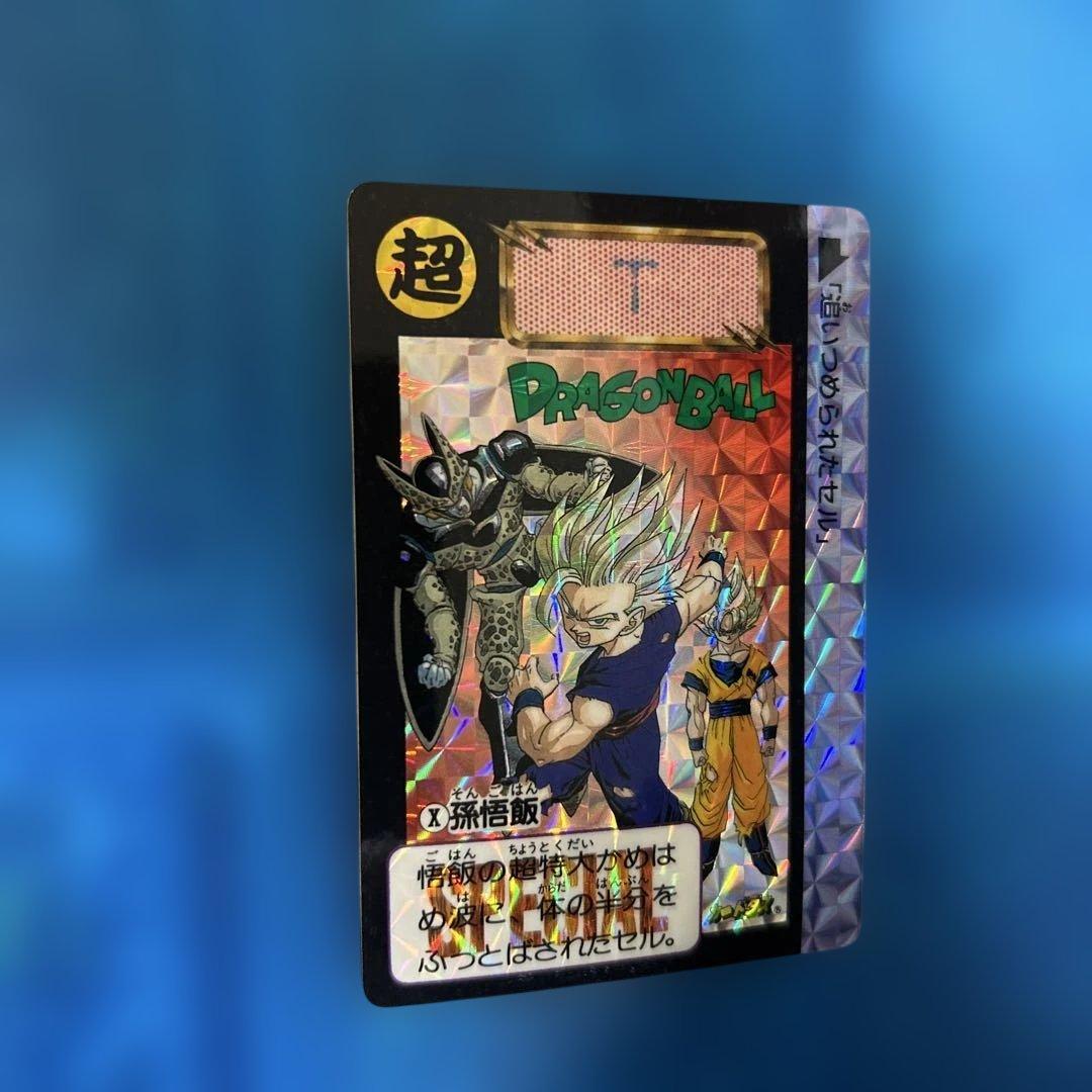 ドラゴンボール　カードダス めちゃんこプロジェクト　Ⅹ 孫悟飯