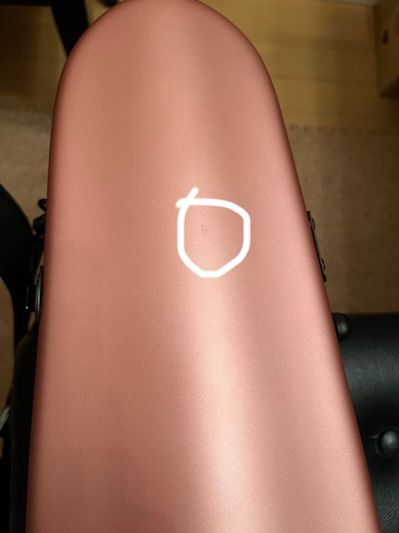 お値下げ中⭐︎カーボンマック バイオリンケースCFV-2S サテンピンクゴールド