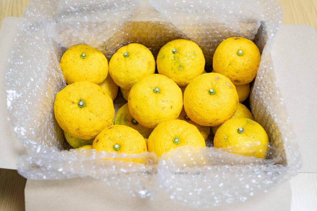 ③kenynares高知県産本柚子約20kg（60/60）