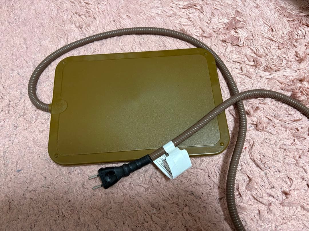 ハリネズミ飼育セット