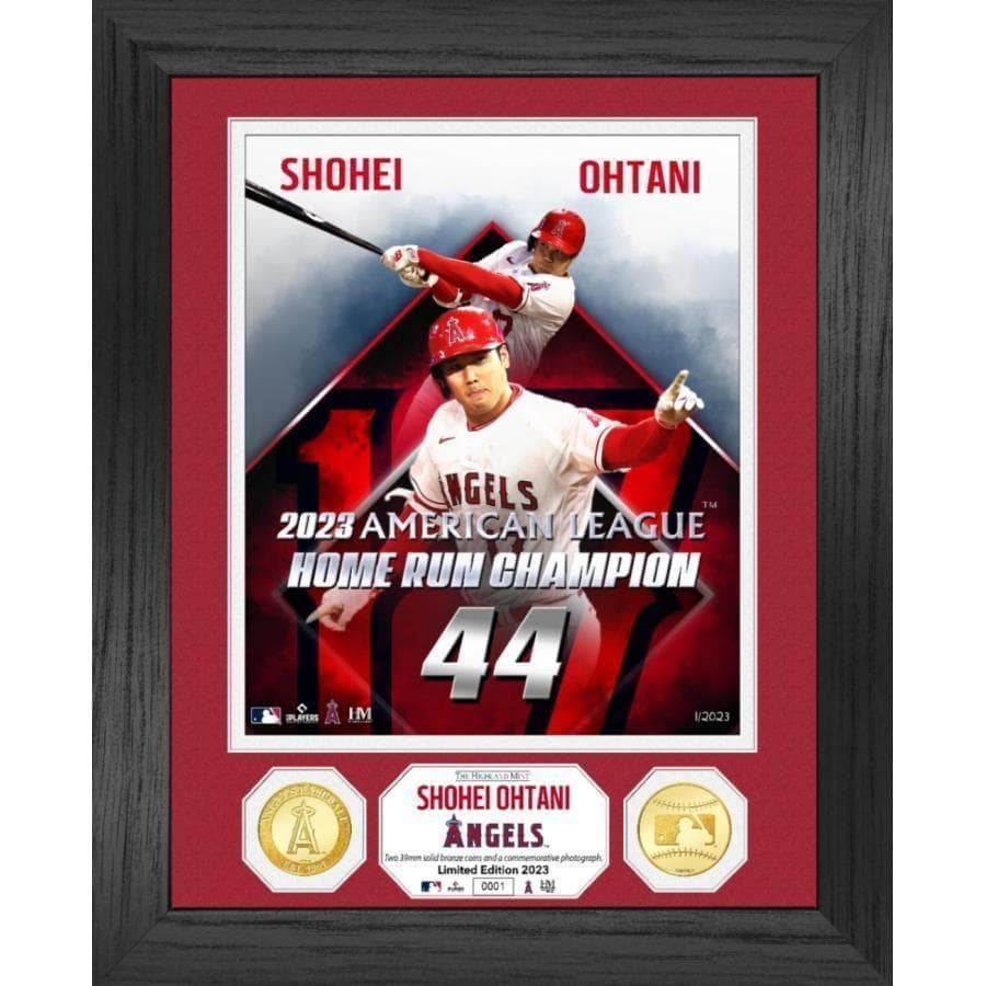 レア品　大谷翔平 ホームラン王 ダブルフォトミント