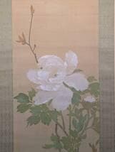 【真作】掛軸　尾竹国観　白牡丹図　気品あふれる花鳥画　繊細な筆致　T36