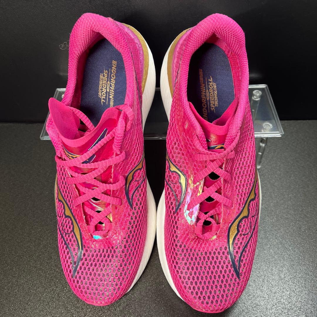 週末限定価格‼️【未使用25.0cm】サッカニーエンドルフィンプロ3