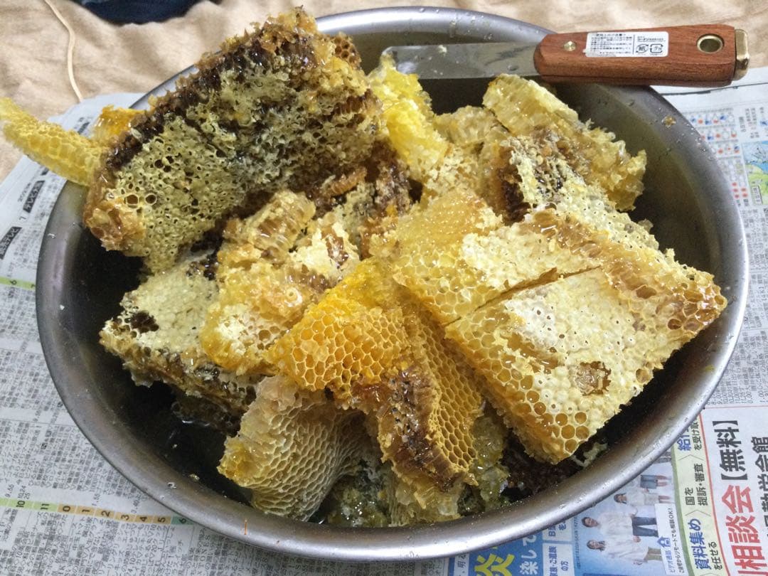 日本ミツバチ純粋垂蜜　440g6個