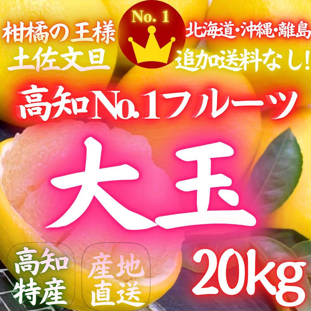 23高知特産 露地栽培 土佐文旦 3L4L文旦 約20kg 大玉 サイズ