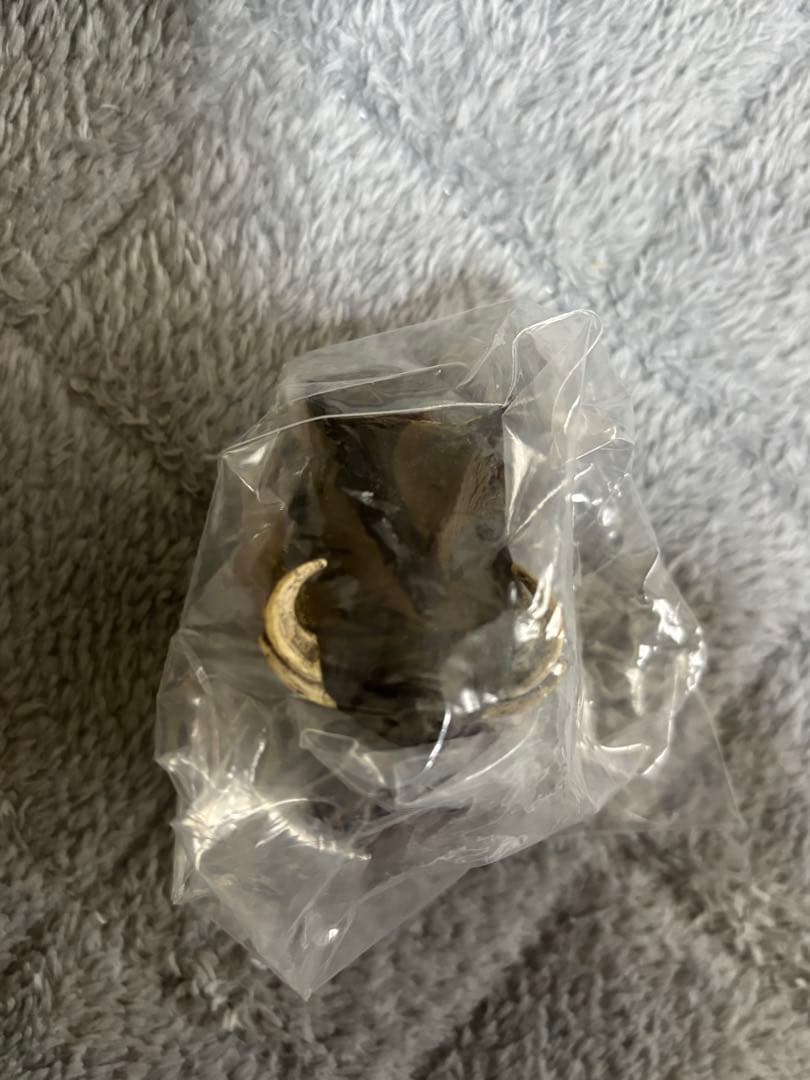 ハンティングトロフィー　シークレット　エゾシカ　ヘラジカ　ドールシープ　骨格標本