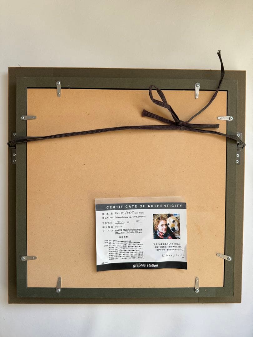 カレン　ホイプティング　犬　コーギー　小鳥　鳥かご