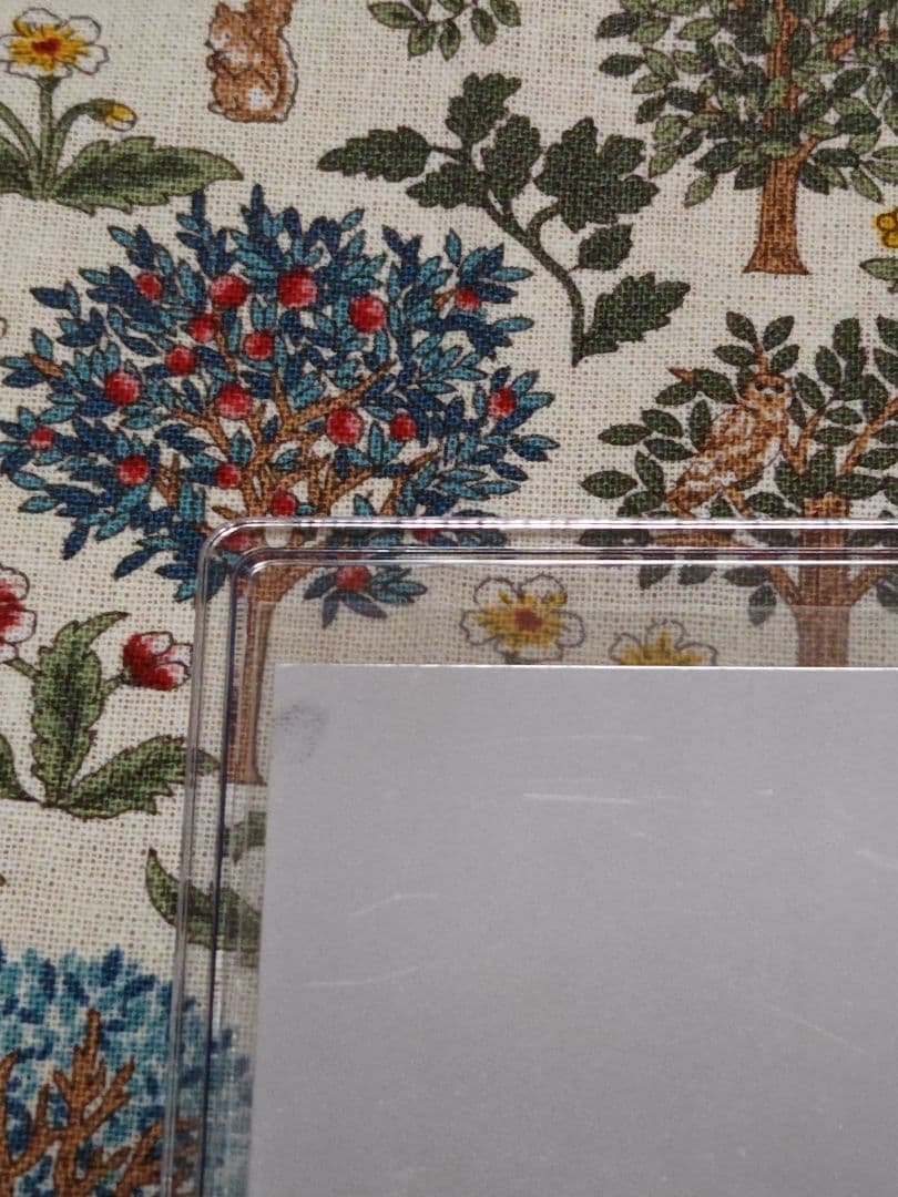 龍宮城　KEIGO　DEEP WAVE　コメサ　生写真