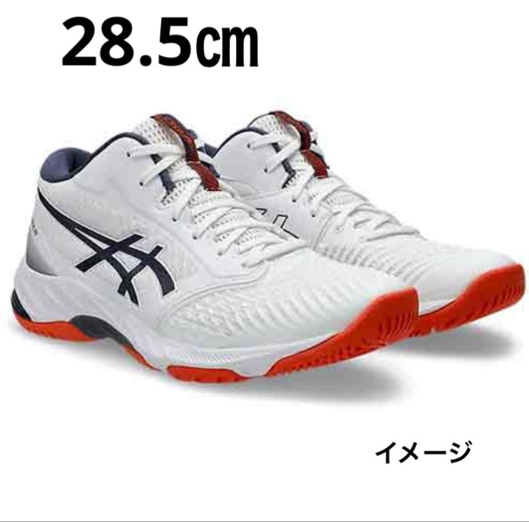 アシックスネットバーナーバリスティックFFMT3 バレーボールシューズ28.5