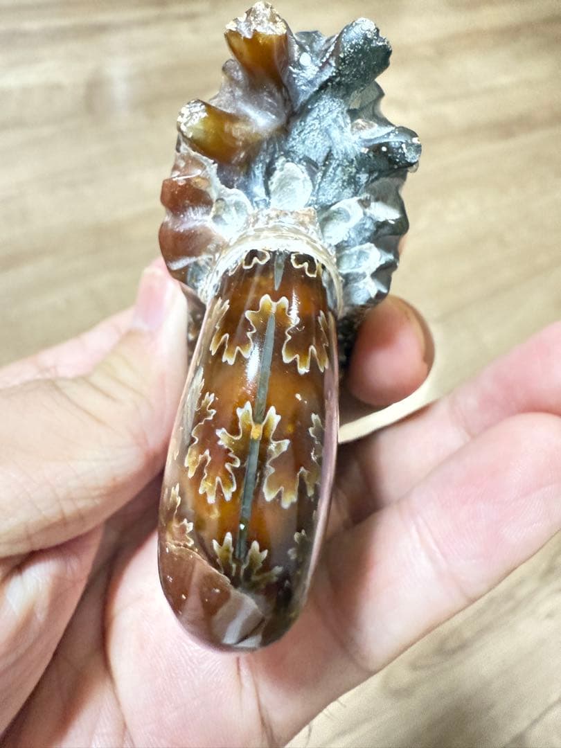 極美品マダガスカルのアンモナイト化石　2点セット　本物保証　希少な共生 送料無料