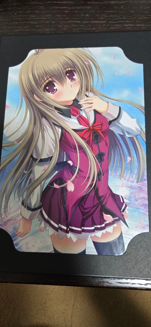 男の娘ゲームキャンペーン　メモリアルポートレート　アニメイト特典付き