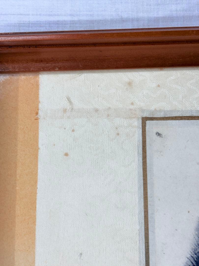 猫　挿絵　額　絵画　中国美術　額