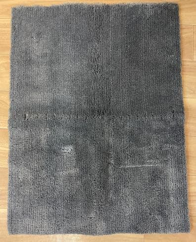 エクサー プロ ステッパー シルバー 箱・マット・取説付き Xiser Pro