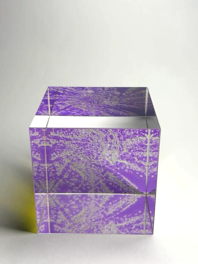 カビ　アート作品　アクリル