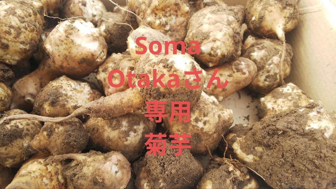 Soma Otakaさん 専用