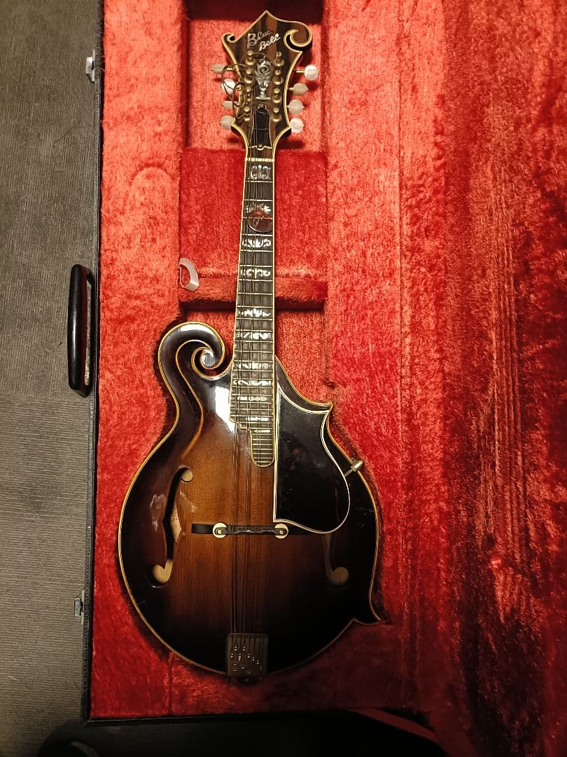 Blue Bee F-12 マンドリン Fタイプハードケース付ジャンク扱い現状品