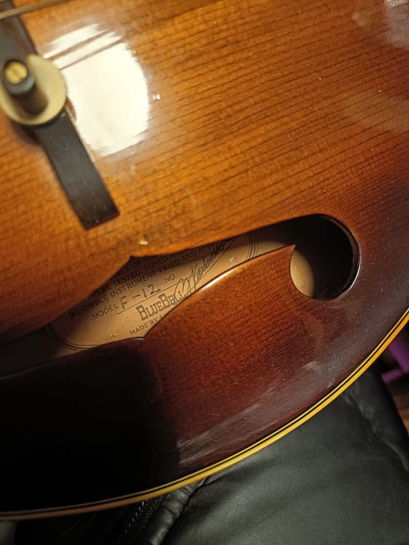 Blue Bee F-12 マンドリン Fタイプハードケース付ジャンク扱い現状品