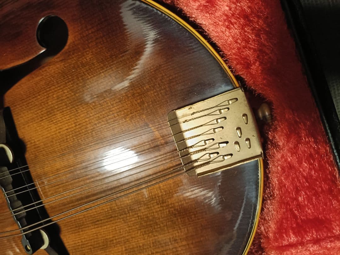 Blue Bee F-12 マンドリン Fタイプハードケース付ジャンク扱い現状品