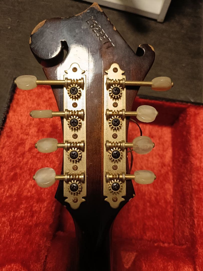 Blue Bee F-12 マンドリン Fタイプハードケース付ジャンク扱い現状品