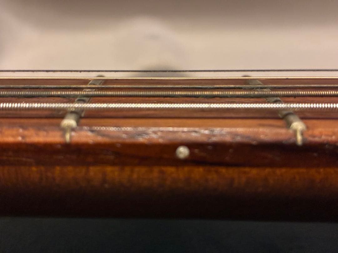 Godhin 5th avenue ゴダン　アーチトップ　アコースティックギター