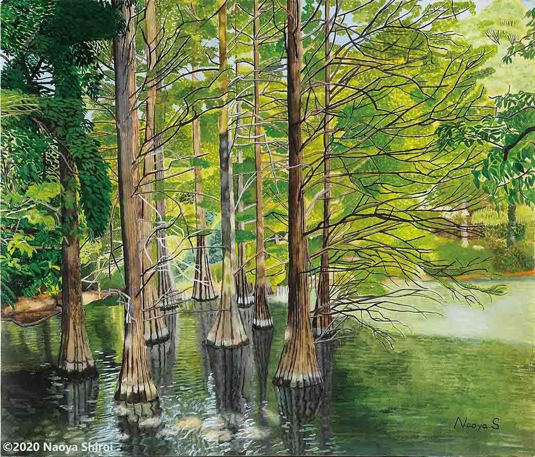 水彩画　ジクレー版画「篠栗九大の森」（糟屋郡）