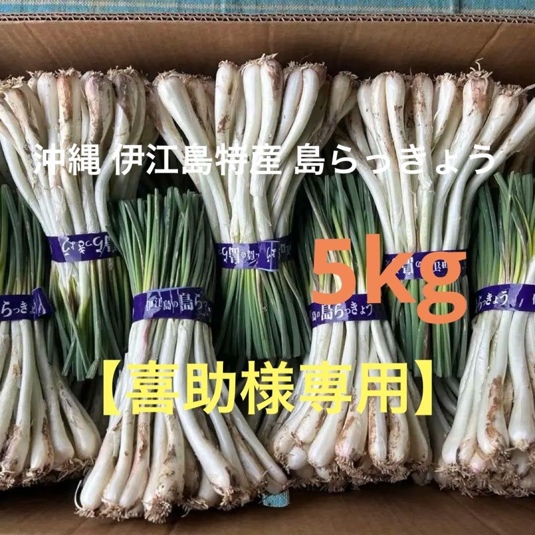 【喜助】沖縄 伊江島特産 島らっきょう 5kg