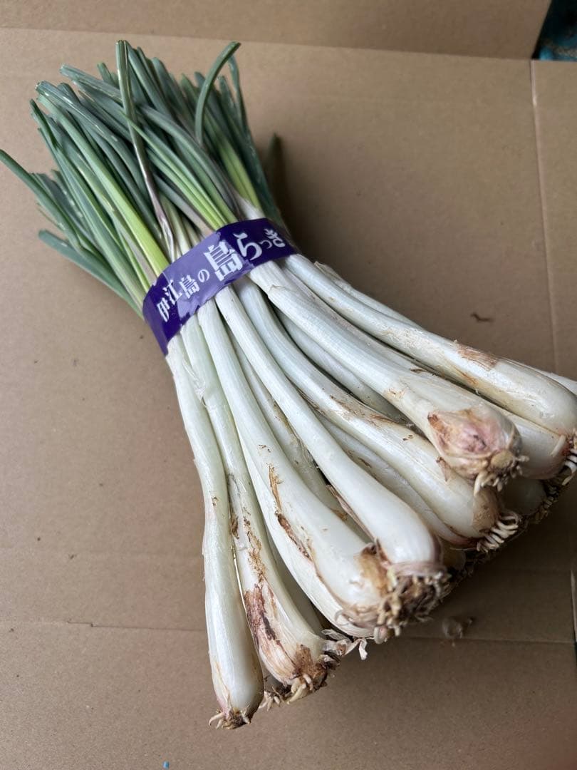 【喜助】沖縄 伊江島特産 島らっきょう 5kg