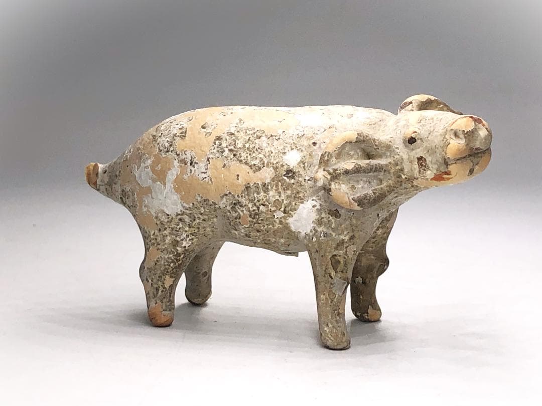 【 ファイアンス 】　ブタ　出土品