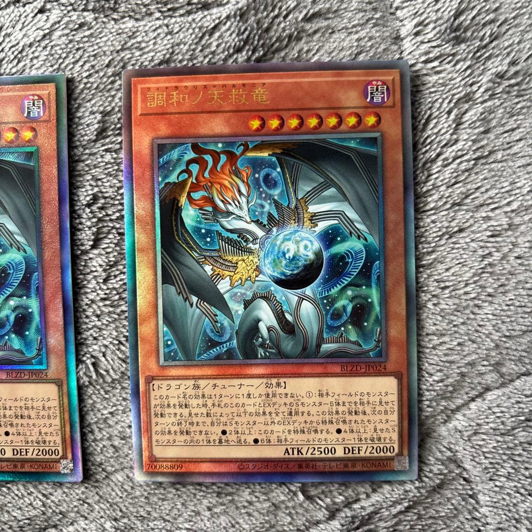 調和ノ天救竜 レリーフ　2枚セット