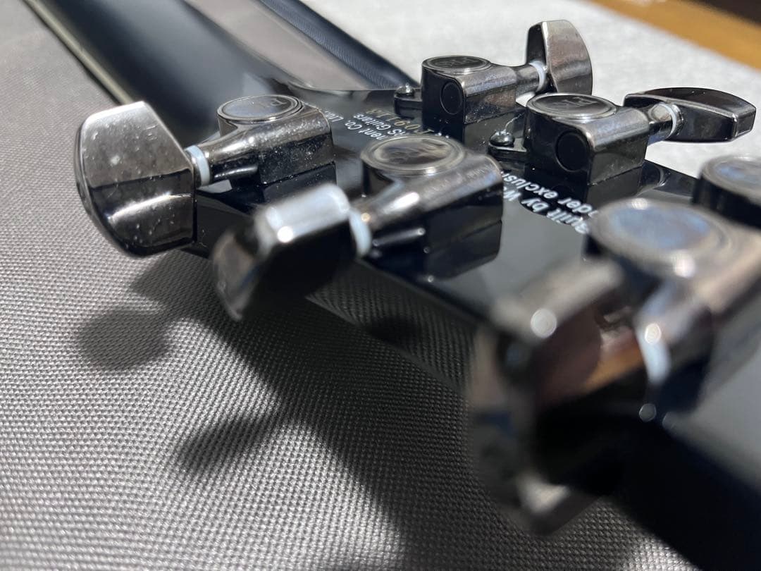 ギター PRS SE Mark Holcomb