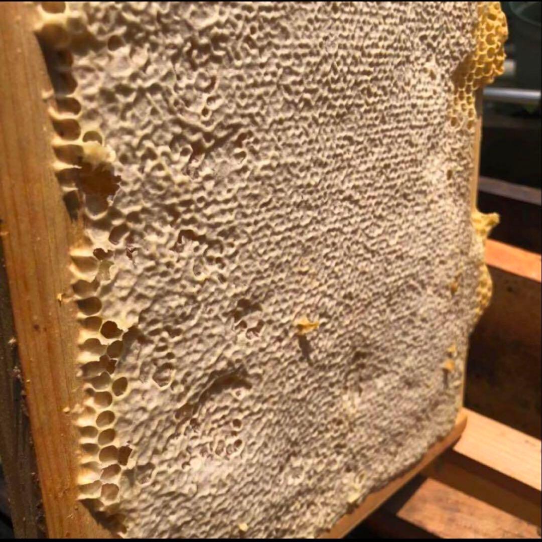 西洋蜜蜂　蜂蜜純粋