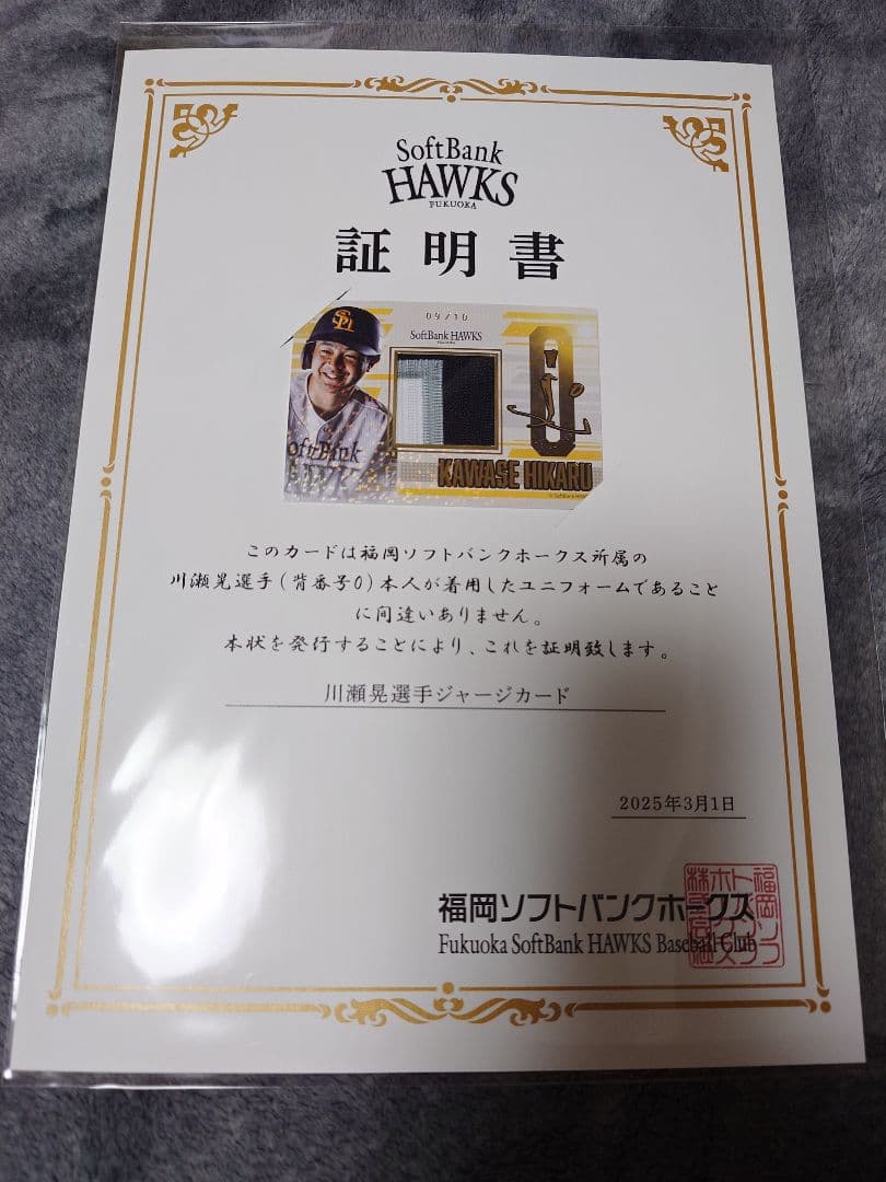 【大幅値下げ】川瀬晃選手ジャージーカード　証明書付き