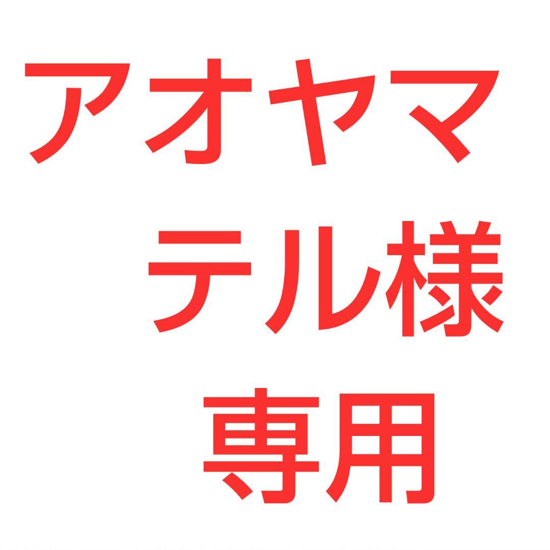 【アオヤマ　テル】