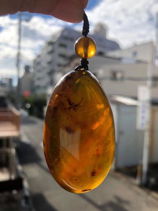 アンバー 琥珀 ユニーク 天然石 宝石 化石　ネックレス