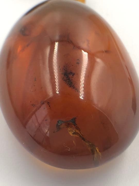 アンバー 琥珀 ユニーク 天然石 宝石 化石　ネックレス