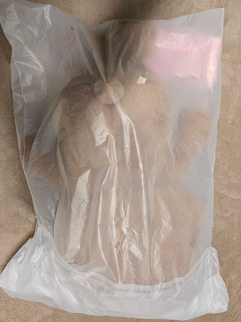 【SKZOO】テディベア ハンクオッカ