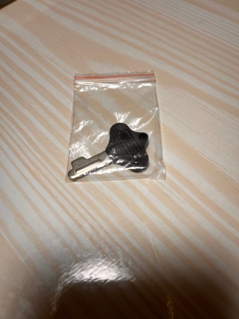 【限定】Epiphone レスポールスタンダード ゴールド イケベ楽器40th