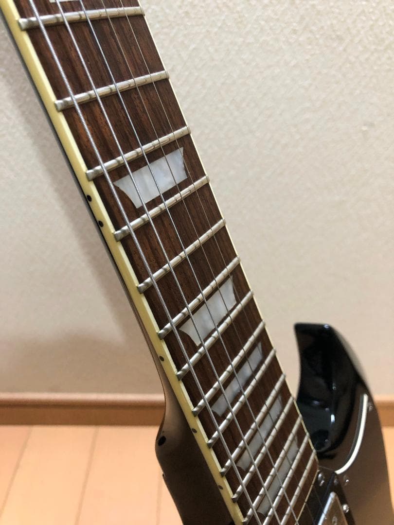 ギター Bacchus BSG-480?