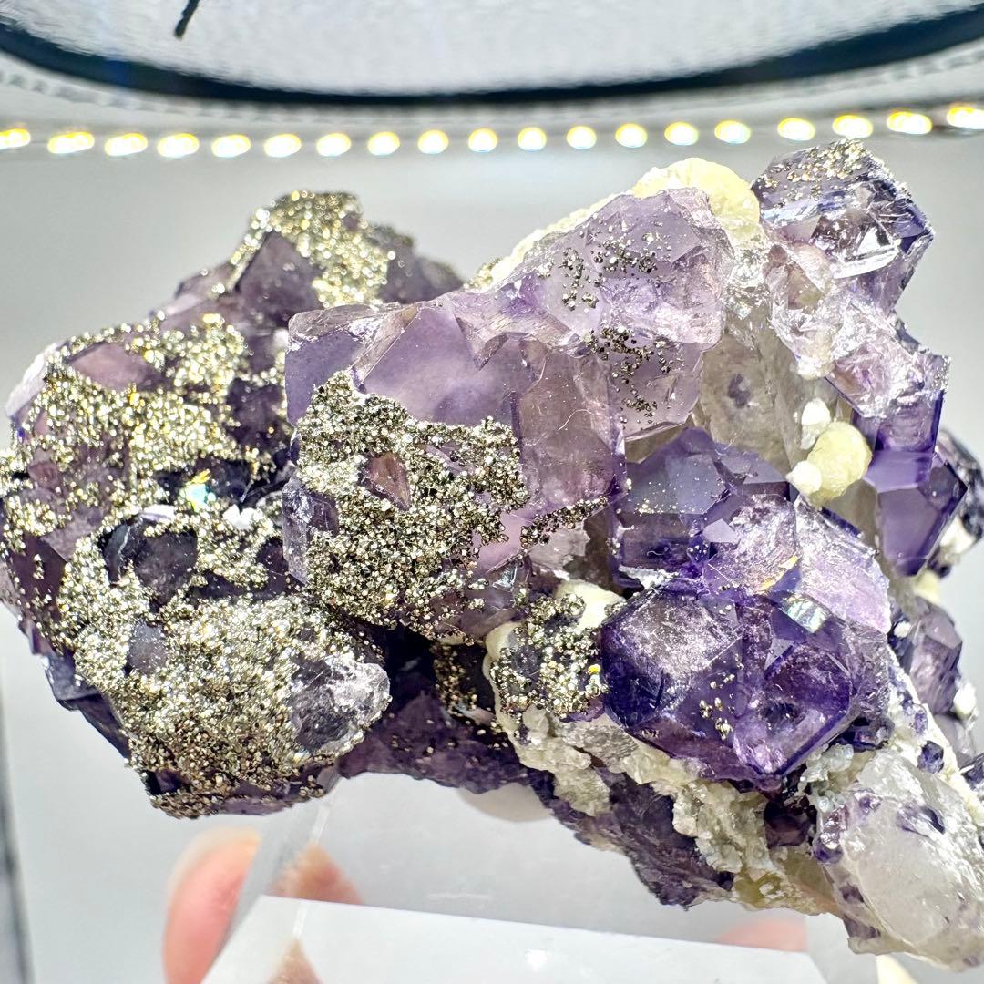 563 中国 内モンゴル産 フローライト&パイライト