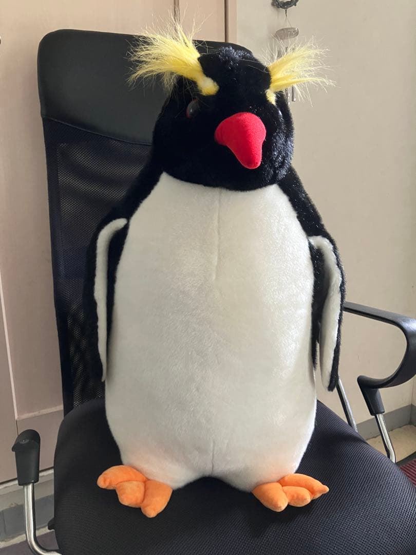 ★タグ付き♪【イワトビ】ペンギン★特大＊ぬいぐるみ★